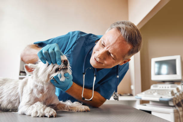 Best Emergency Tooth Extraction in Cranston, RI