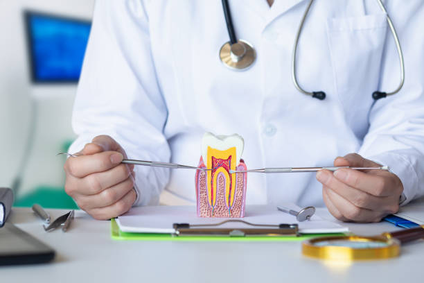 Reliable RI Emergency Dentist Solutions